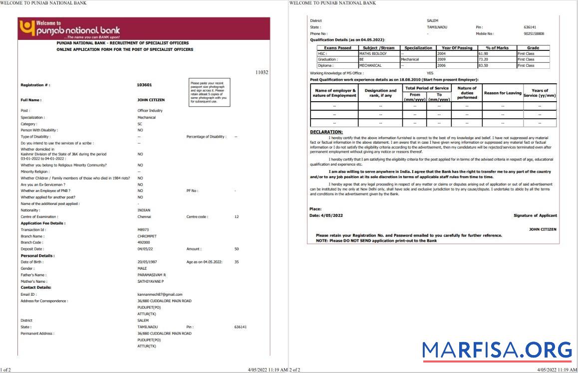 Realistic India Punjab National bank statement word 2 pages example